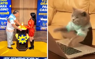 La Granja VIP: los mejores memes que dejó la novena Asamblea de nominación