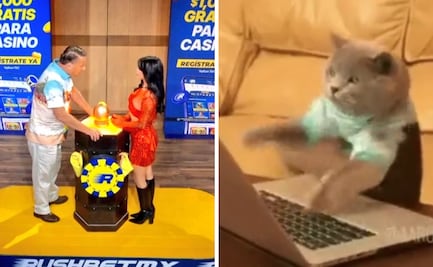 La Granja VIP: los mejores memes que dejó la novena Asamblea de nominación