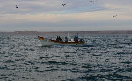 ​Asegura Profepa embarcación por presunta pesca ilegal en Golfo de California