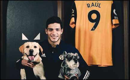 Wolves me dio la confianza y no pienso soltarla: Raúl Jiménez