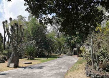 Qué días abre el Jardín Botánico de CU de la UNAM
