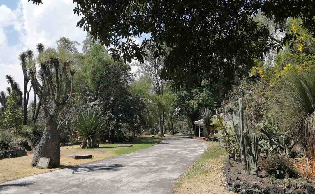 La entrada al Jardín Botánico de CU es gratuita. Imagen: Facebook Jardín Botánico IB-UNAM