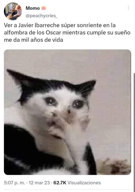 Javier Ibarreche, el tiktoker mexicano que cumplió su sueño de cubrir los Premios Oscar