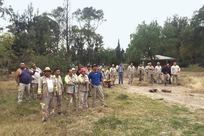 Rehabilitarán el Bosque de Aragón