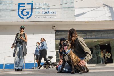 Perritos rescatados del albergue "En Busca de un Hogar" en la Narvarte son entregados a vecinos; Fiscalía y Segob accedieron a acuerdo