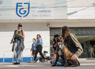 Perritos rescatados del albergue "En Busca de un Hogar" en la Narvarte son entregados a vecinos; Fiscalía y Segob accedieron a acuerdo