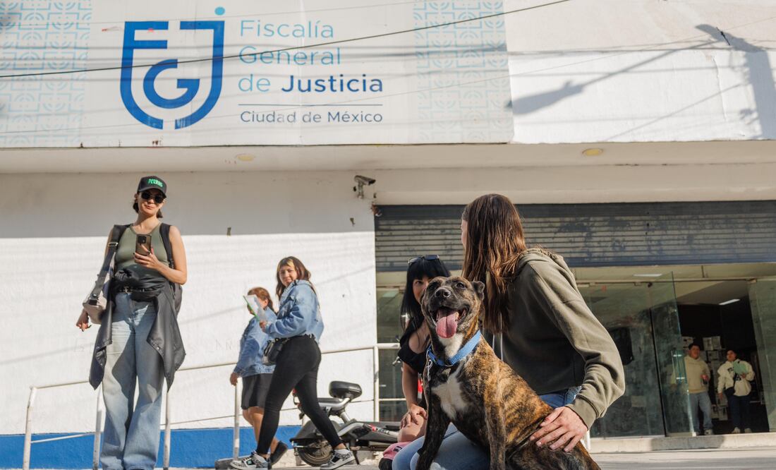 La Fiscalía General de Justicia de la Ciudad de México (FGJCDMX) devolverá los caninos a vecinos de la colonia, quienes se ofrecieron como voluntarios para cuidarlos. (Foto: Yaretzy M. Osnaya/ EL UNIVERSAL)