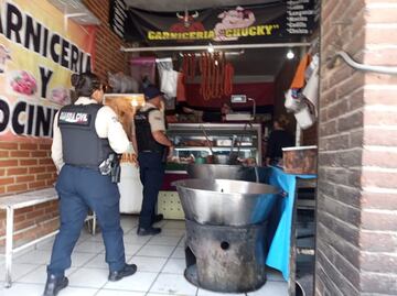 SSPC califica como "crueldad infinita" caso de perrito arrojado a aceite; ya identificaron al hombre