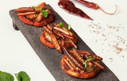 Insectos al plato: retos y posibilidades
