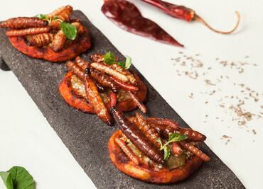 Insectos al plato: retos y posibilidades