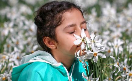 La ciencia de volver a respirar tras sufrir Covid-19