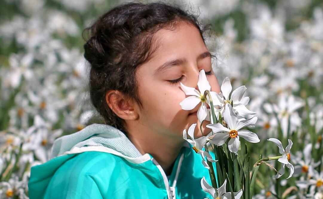 Foto: Getty Images vía BBC