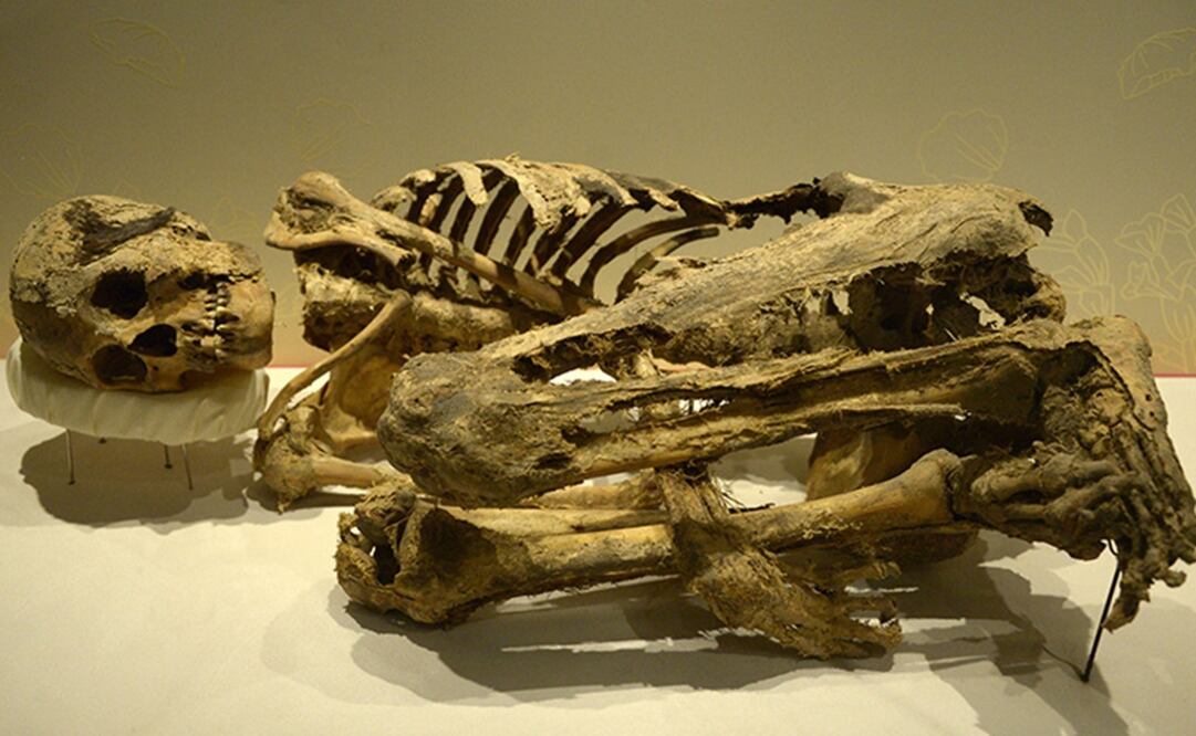 Foto: Cortesía INAH