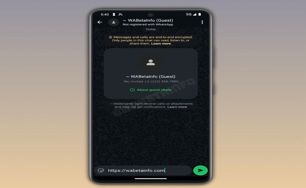 Estos chats caducarán automáticamente después de 10 días de inactividad. Foto: WABetaInfo