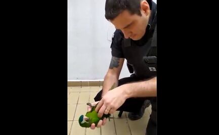 Policía salva con masaje cardíaco a loro electrocutado en metro de Sao Paulo