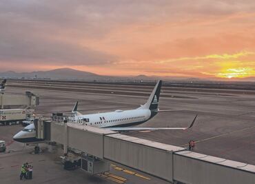 Fauna localizada en el AIFA se entregará a Semarnat