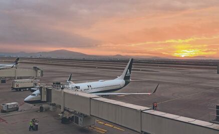 Fauna localizada en el AIFA se entregará a Semarnat