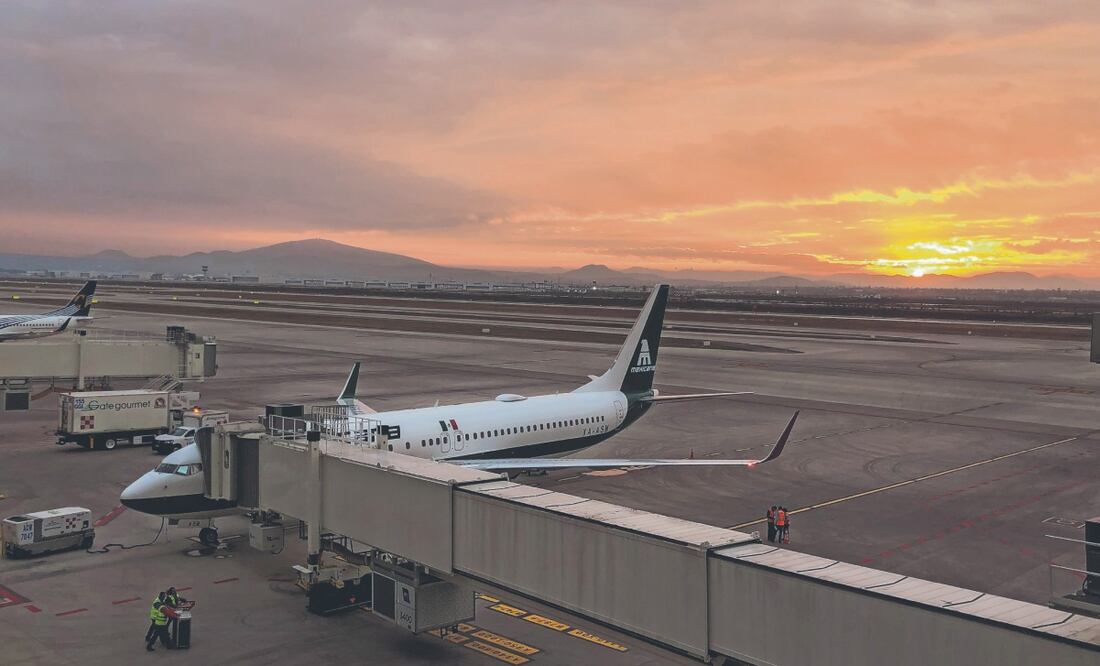 El Aeropuerto Internacional Felipe Ángeles reubicará en áreas naturales protegidas a las diferentes especies animales que se rescaten en sus instalaciones. Archivo El Universal