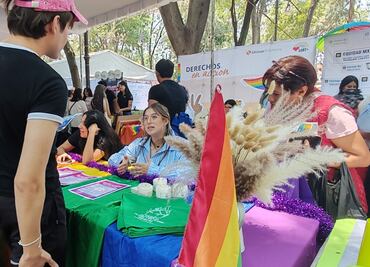 Secretaría del Trabajo invita a la Feria Nacional de Empleo para la Diversidad e Inclusión Laboral; participarán 50 empresas