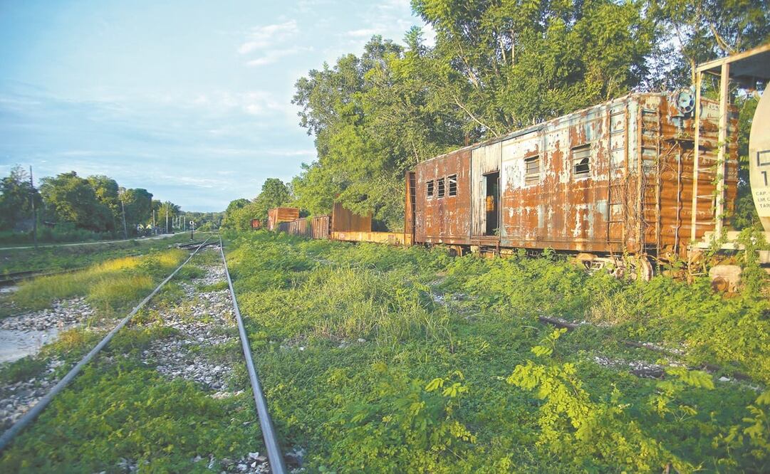 Foto: Archivo / EL UNIVERSAL 