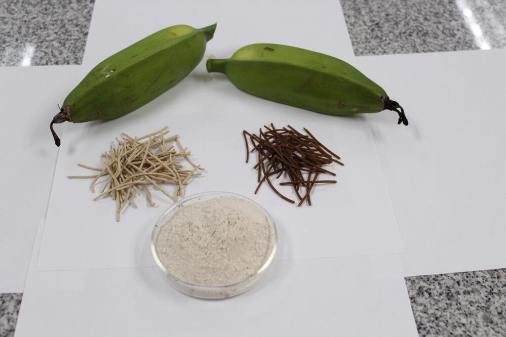 Fotografía: especial