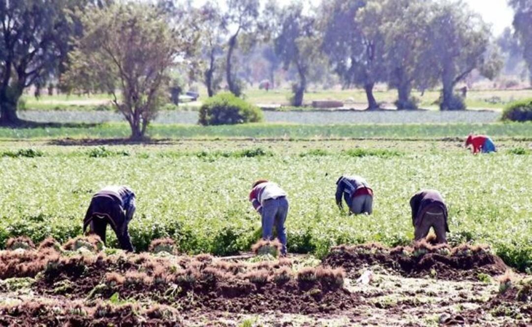 Photo: Omar Contreras / EL UNIVERSAL