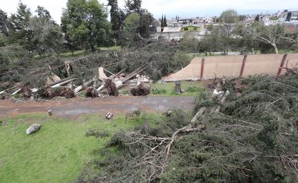 Por tormenta, caen más de 150 árboles en el Seminario Diocesano de Toluca