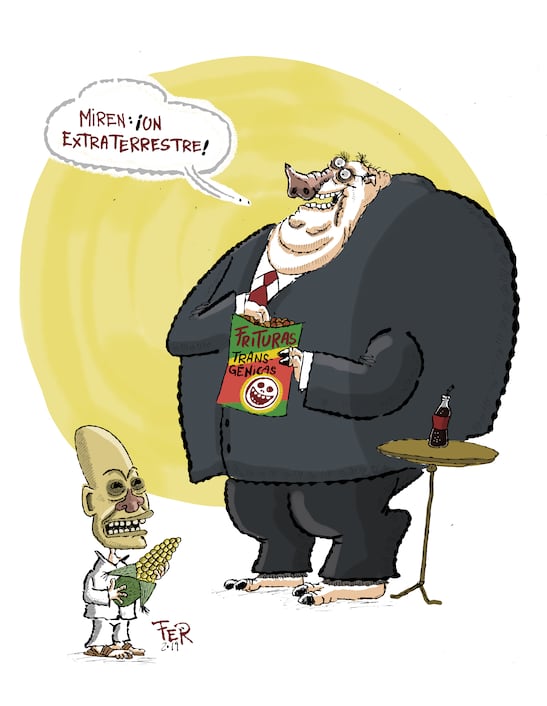 El daño de los transgénicos