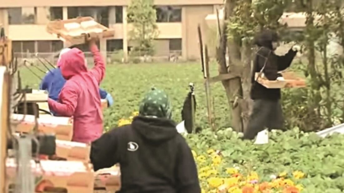 Vacunación en EU, entre la fe y las quejas