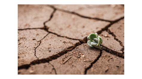 El Niño y La Niña y las insoportables olas de calor