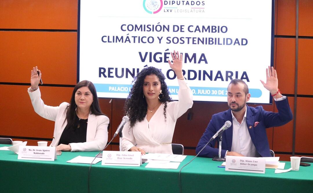 Comisión de Cambio Climático de San Lázaro. Foto: Especial