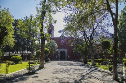 De paseo por la Ciudad de México, gratis y de la mano de cronistas e historiadores