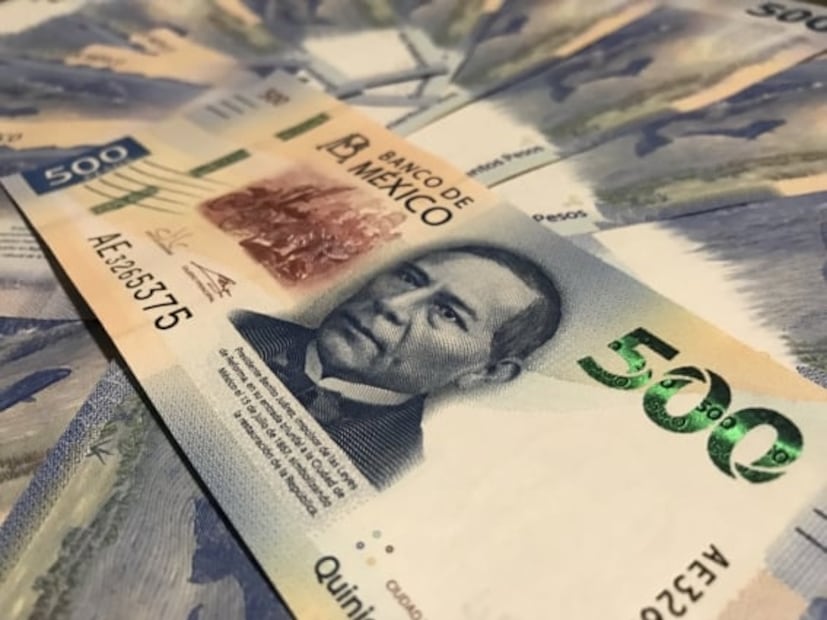 El ajolote y Xochimilco saldrán en el nuevo billete de 50 pesos