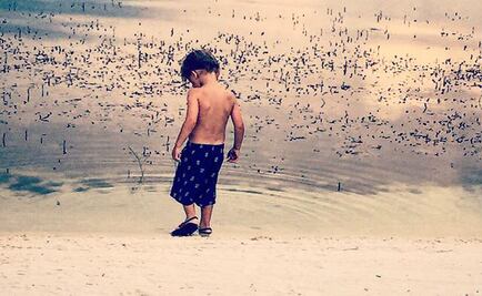 Defienden a padres de niño devorado por caimán