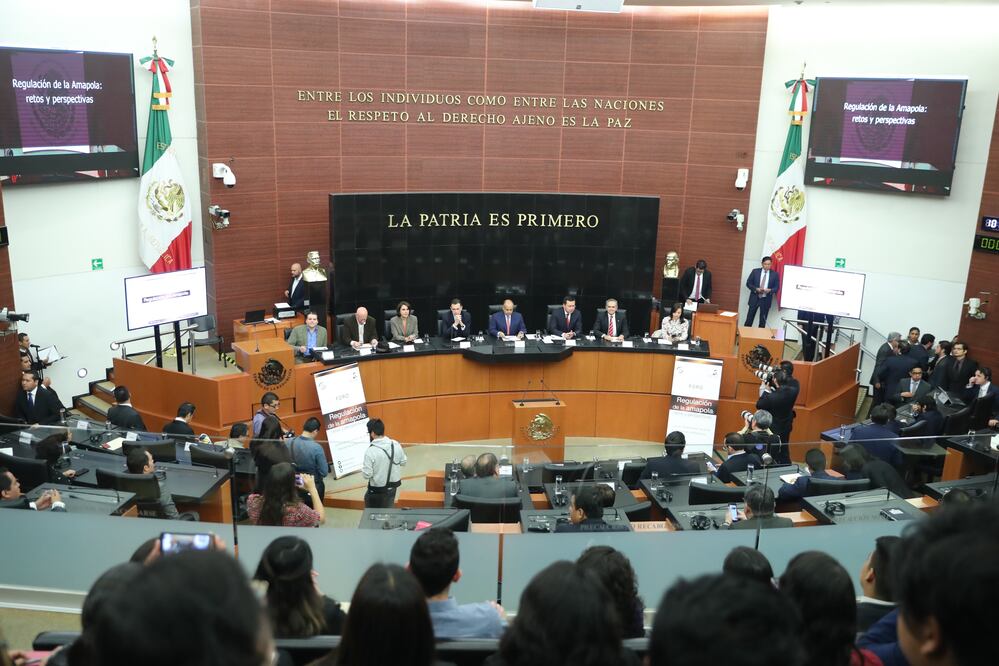 Sesión en el Senado. Foto: Archivo