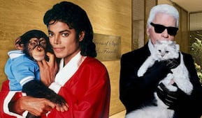 Choupette, Gunther VI y Blackie: Las mascotas que heredaron fortunas increíbles