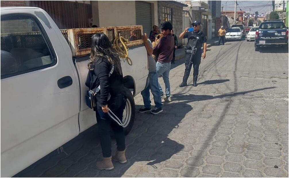 Perros atacan a jóvenes en Metepec. Foto: Especial