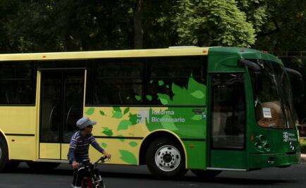 Analizan factibilidad de Corredor Verde en Eje 8 Sur