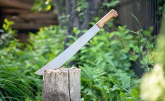 Aprueban reforma para regular la portación de machetes en Ahome, Sinaloa; detienen a hombre tras riña de macheteros