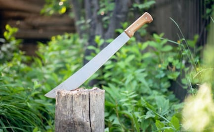 Aprueban reforma para regular la portación de machetes en Ahome, Sinaloa; detienen a hombre tras riña de macheteros