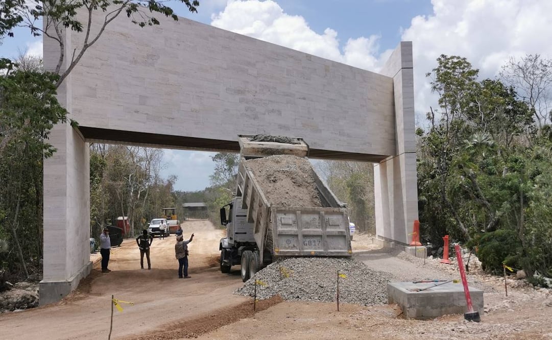 La empresa española, Four Cardinals Development México, presentó una demanda por montos millonarios contra la periodista y abogada, Fabiola Cortés. Foto: especial