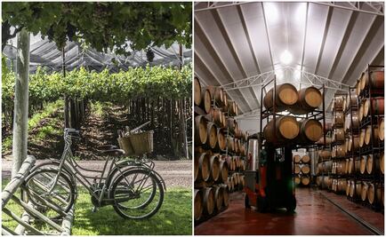 Conoce el legado familiar de Bodegas Santa Julia