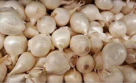 Ante retiro de cebollas mexicanas de EU y Canadá por salmonella, México vigila investigaciones 