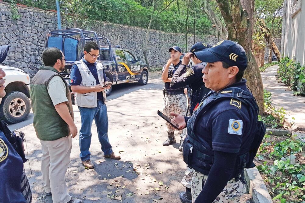 Autoridades de la Brigada de Vigilancia Animal afirman que el espécimen ha sido monitoreado constantemente. Foto: SSPCDMX