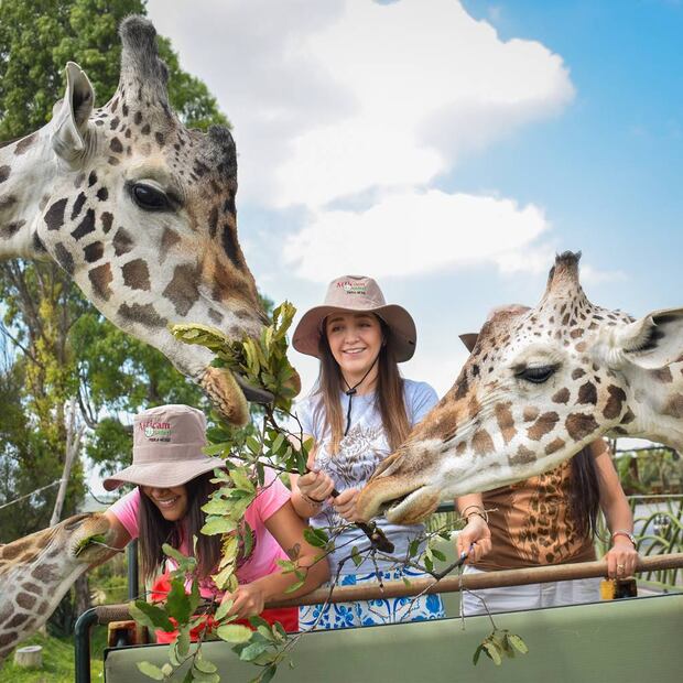 Foto: Africam Safari