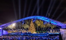 Trump y Melania encienden árbol navideño de la Casa Blanca; "la religión está volviendo a EU", afirma el mandatario