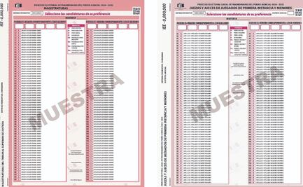 Silvia Rocío Delgado, Erik Salvador Nevarez, Óscar Sámano Alarcón, son algunos de los perfiles a elección judicial ligados al narco 