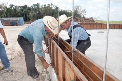 Menonitas no votarán en los próximos comicios 