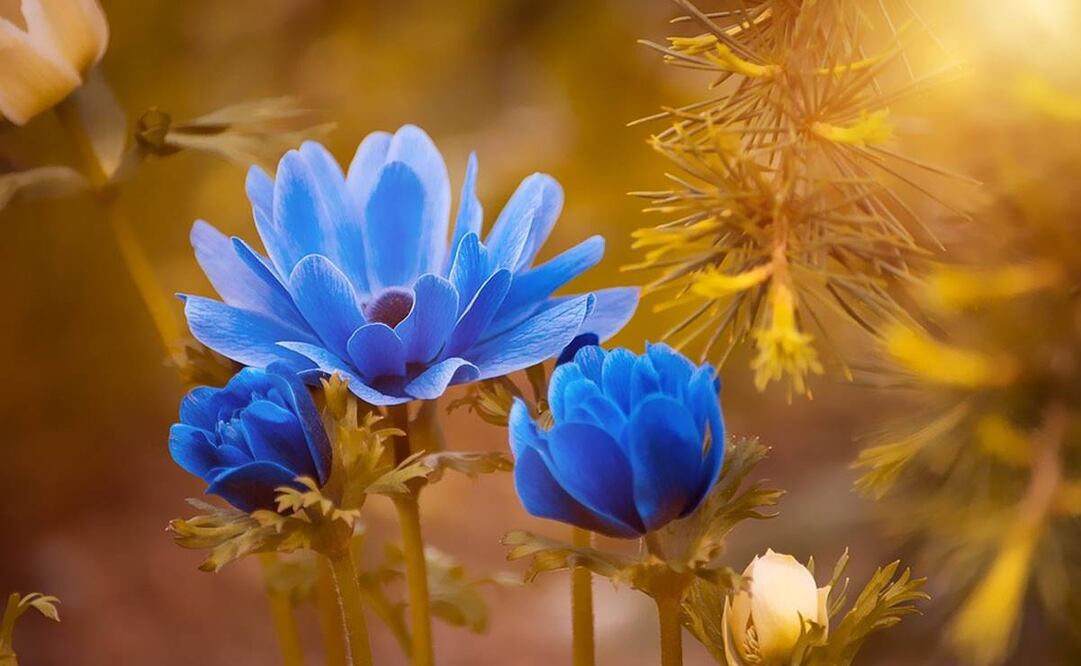 Abril es el mes más cruel