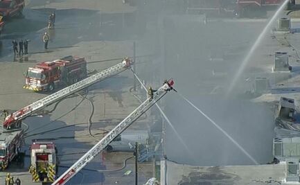 Más de 500 animales mueren en incendio de centro comercial en Dallas; se desconoce causa del fuego